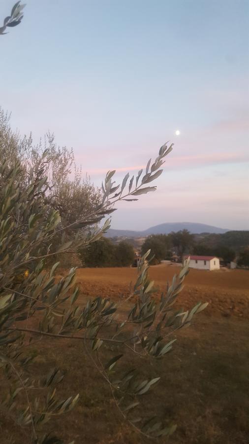 Agriturismo Villalta Ponte Felcino المظهر الخارجي الصورة