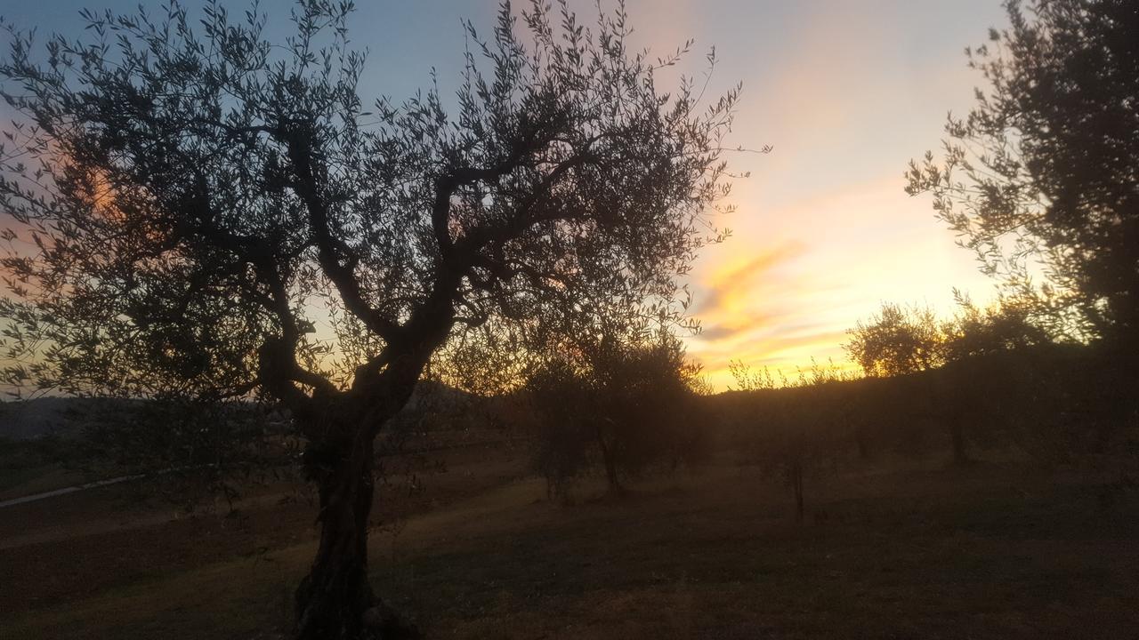 Agriturismo Villalta Ponte Felcino المظهر الخارجي الصورة